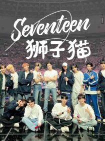 SEVENTEEN：狮子猫