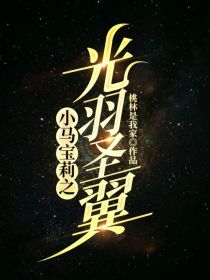 小马宝莉之光羽圣翼