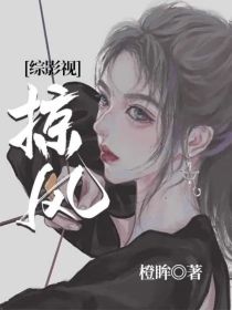 综影视：掠风