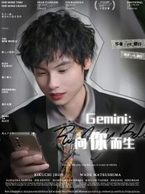 Gemini：向你而生