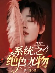 TNT：系统之绝色尤物