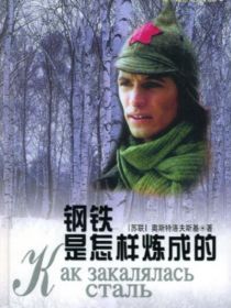 钢铁是怎样练成的