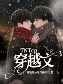 穿越文TNTcp