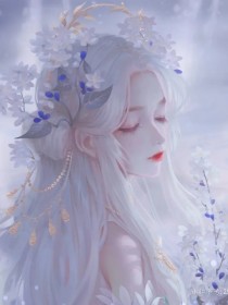 海贼：草帽船上的精灵