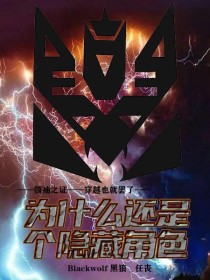 领袖之证——穿越也就罢了——为什么还是个隐藏角色？？？