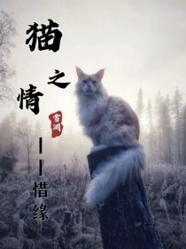 猫之情——惜缘