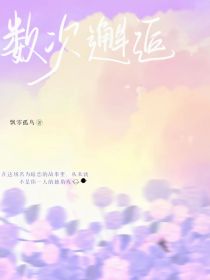数次邂逅