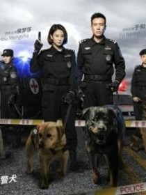 警花与警犬2高甜文