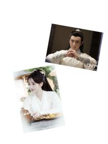 铁弓缘红豆相思知不知