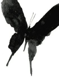 宿主，你的反馈箱已满