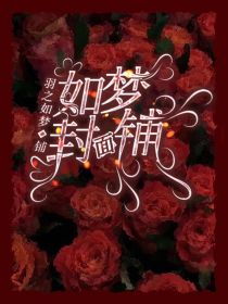 如梦封面铺