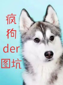 疯狗der图坑