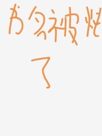 书名被炖了