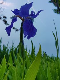 肖晓的倒霉血泪史