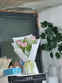 那些永远送不出去的信2