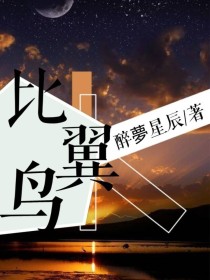 比翼鸟（原创）