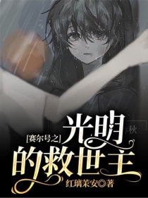 赛尔号之光明的救世主