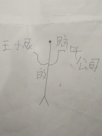 王小屁脑叶公司