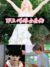 TF三代：骑士圣约