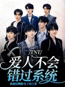 TNT：爱人不会错过系统