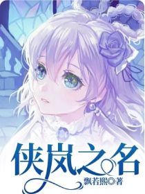侠岚之名