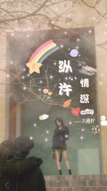 纵许情深