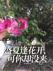 盛夏逢花开，可你却没来