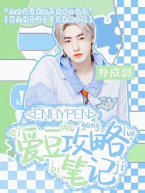 ENHYPEN：爱豆攻略笔记