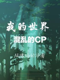 我的世界：混乱的CP