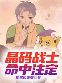 晶码战士：命中注定