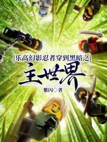 乐高幻影忍者穿到黑暗之主世界