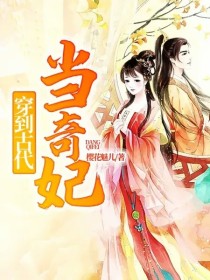 穿到古代当奇妃