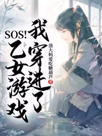 sos！我穿进了乙女游戏！