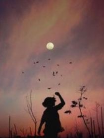 名侦探柯南：落日辉煌