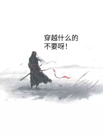 不要呀，穿越什么的