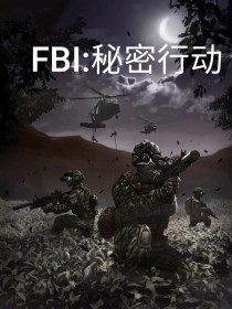 FBI：秘密行动