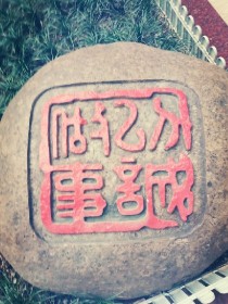 海棠花5