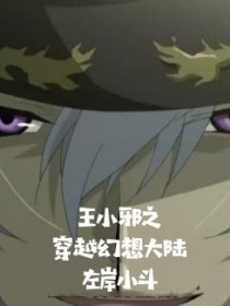 王小邪之穿越幻想大陆