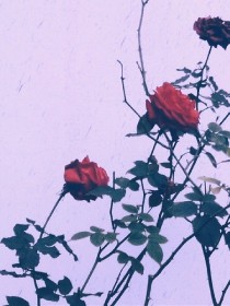 一觉醒来我怀疑我睡了八百年