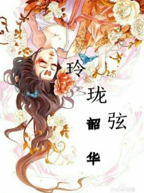 玲珑弦韶华