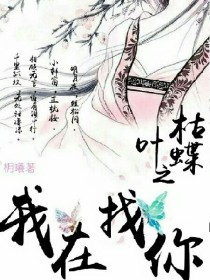 枯叶之蝶之我在找你