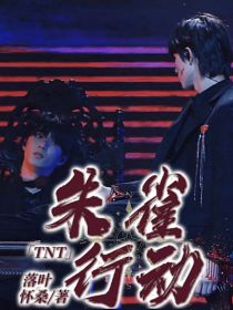 TNT：朱雀行动