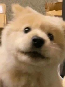 百鬼退避