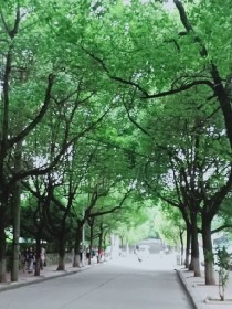 九转神剑