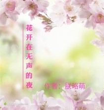 花开在无声的夜