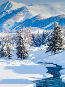 林海雪原