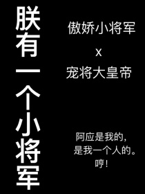 朕有一个小将军