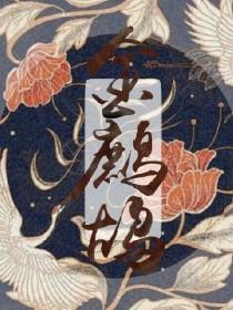 金鹧鸪