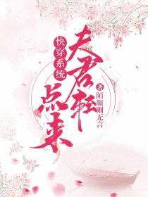 快穿系统：夫君轻点来