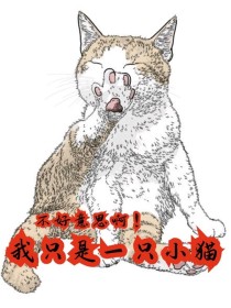 不好意思啊！我只是一只小猫